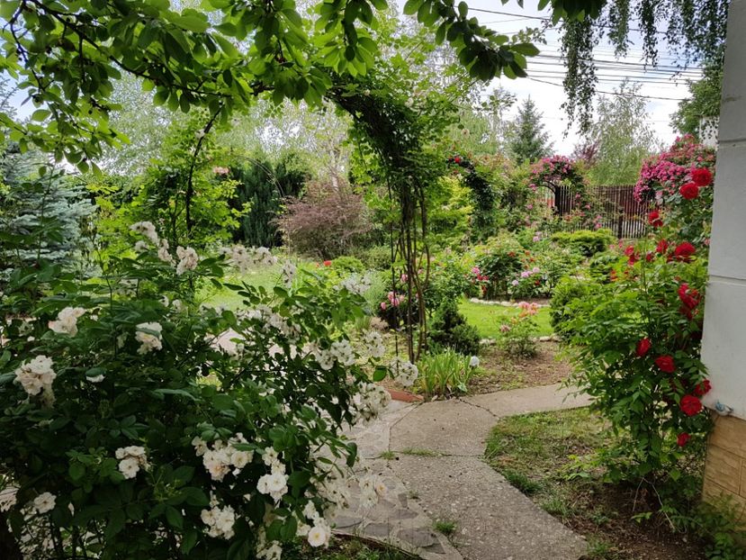  - 2020_Roze_Gradina Rozelor