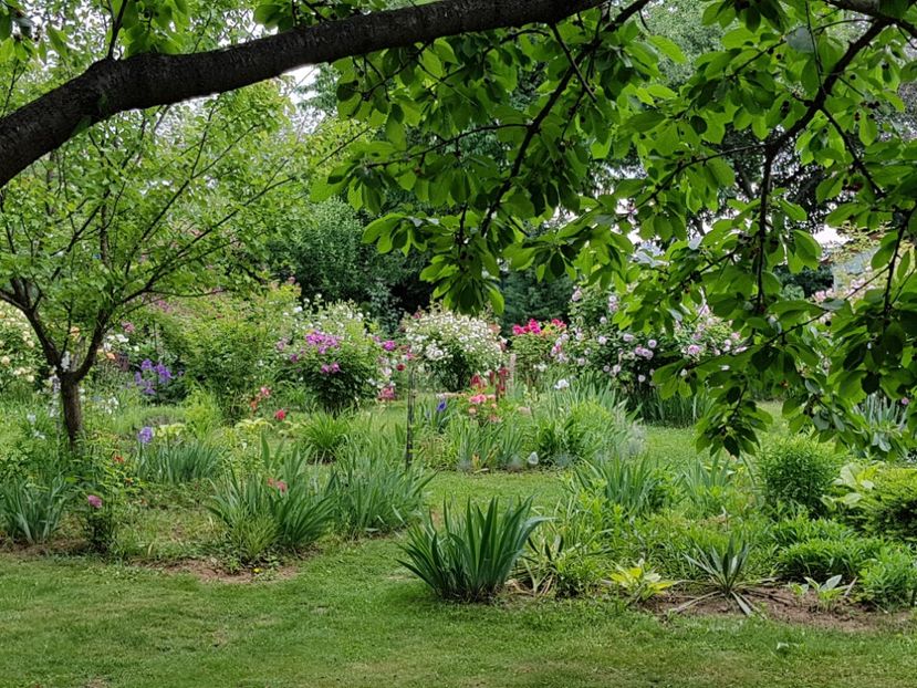  - 2020 Poiana Ciresului