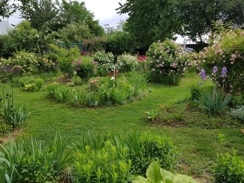  - 2020 Poiana Ciresului