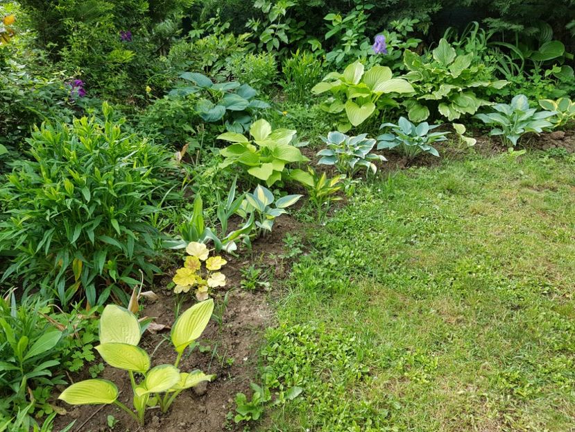  - 2020 Poiana Ciresului