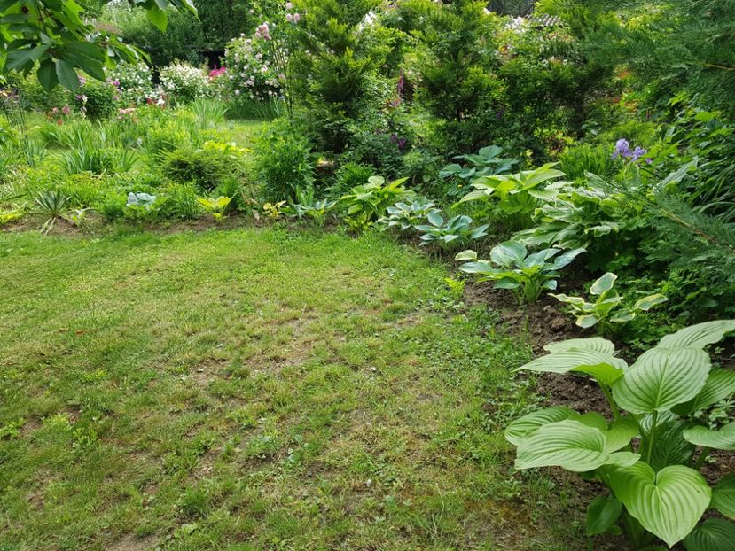  - 2020 Poiana Ciresului