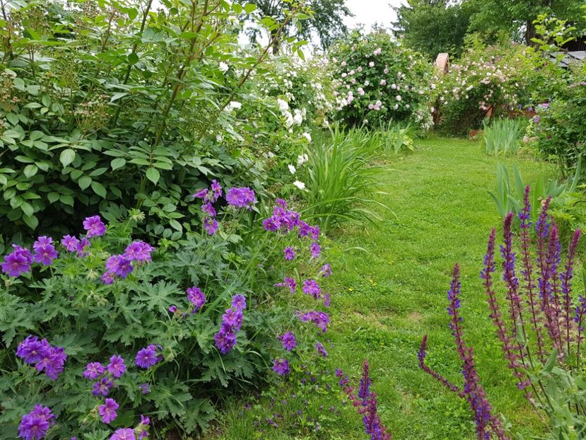  - 2020_Roze Idilic Garden