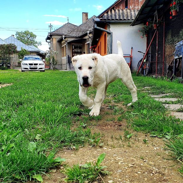 24.05.2020. - ASIA - CENTRALĂ