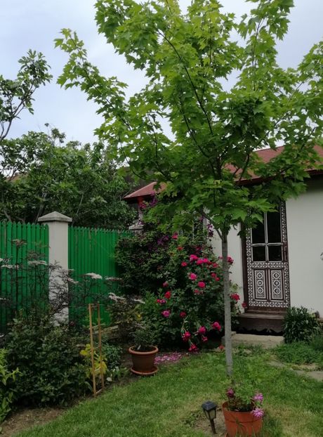  - 2020 mai iunie iulie