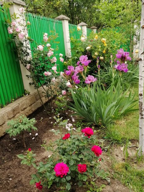  - 2020 mai iunie iulie