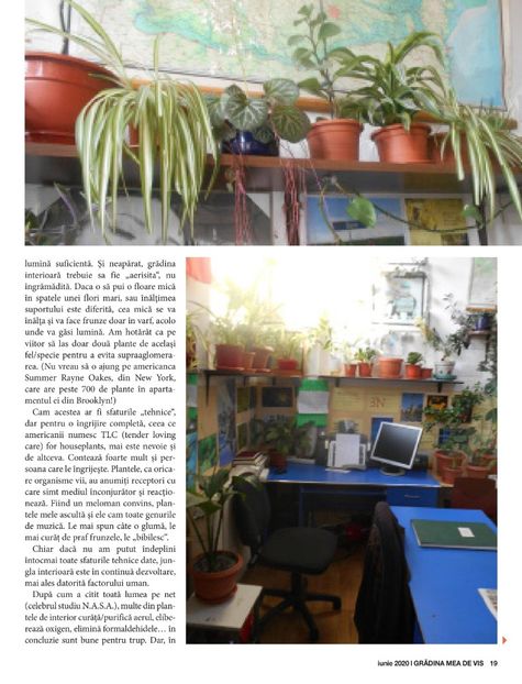 GMV 2020-page-006 - 20 20 Articol revista