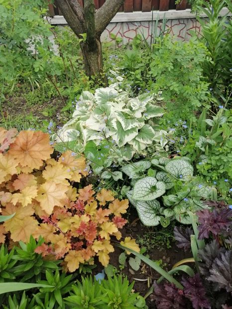  - Sfârșit de mai 2020