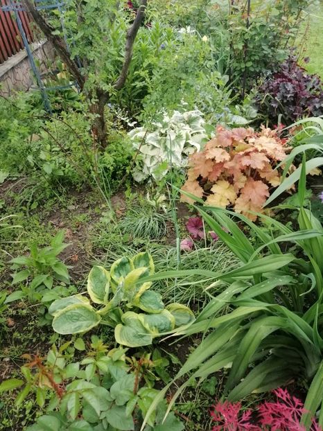  - Sfârșit de mai 2020