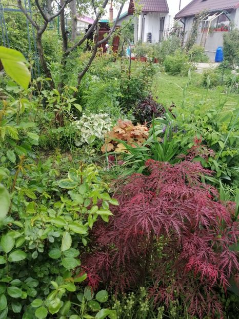  - Sfârșit de mai 2020