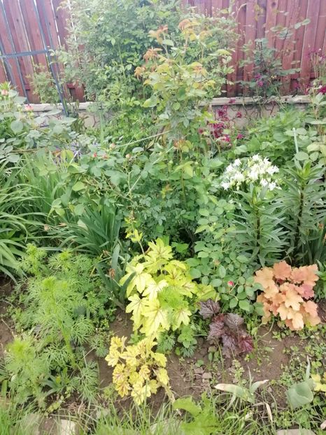  - Sfârșit de mai 2020