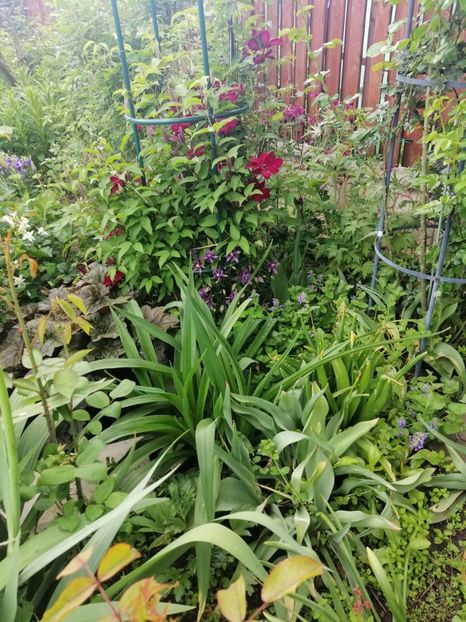  - Sfârșit de mai 2020