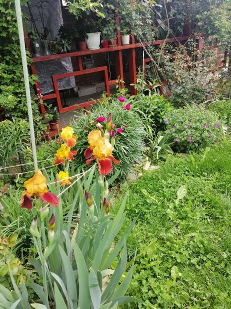  - Sfârșit de mai 2020