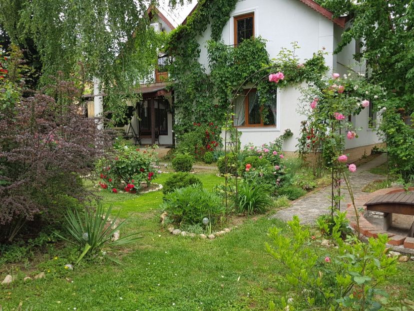 - 2020 Aprilie Gradina Rozelor