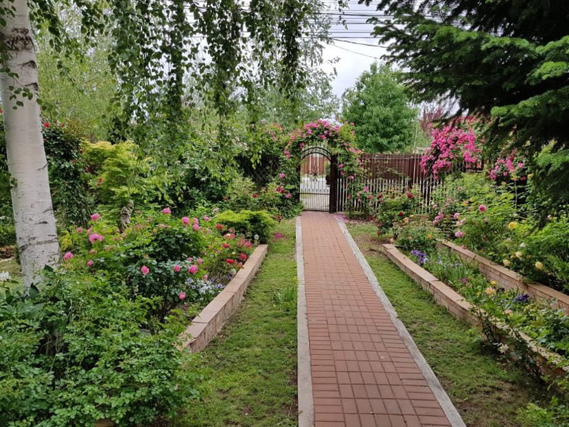  - 2020 Aprilie Gradina Rozelor