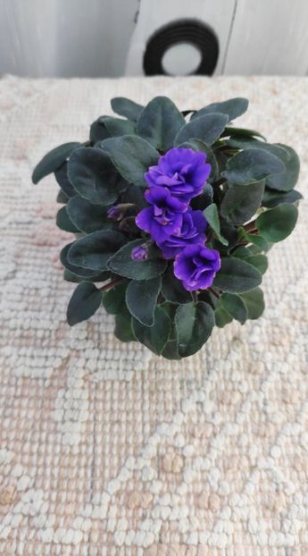 25 mai - Sundown Trail