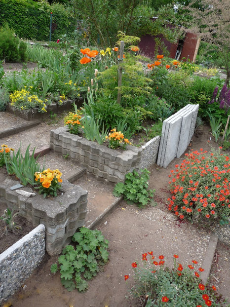  - 2020 - 01 - Primavara