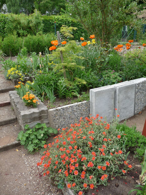  - 2020 - 01 - Primavara