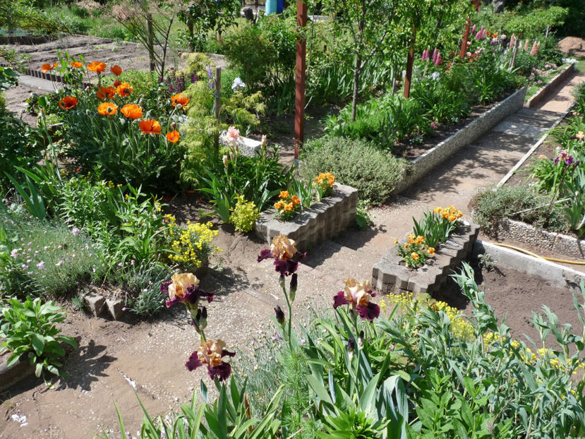  - 2020 - 01 - Primavara