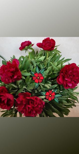  - Flori de Primavara _Vara 2020-2021