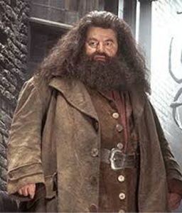 Rubeus Hagrid - Harry Potter