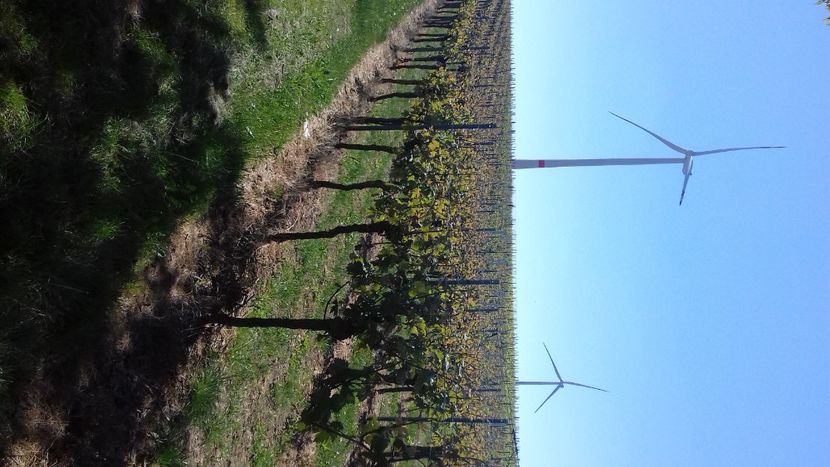 20200506_133815[1] - contact