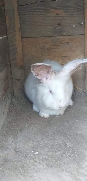 received_672747713293960 - iepuri