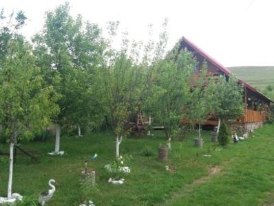  - Casuta noastra de la tara