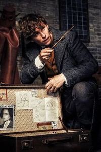 Newt Scamander - Harry Potter