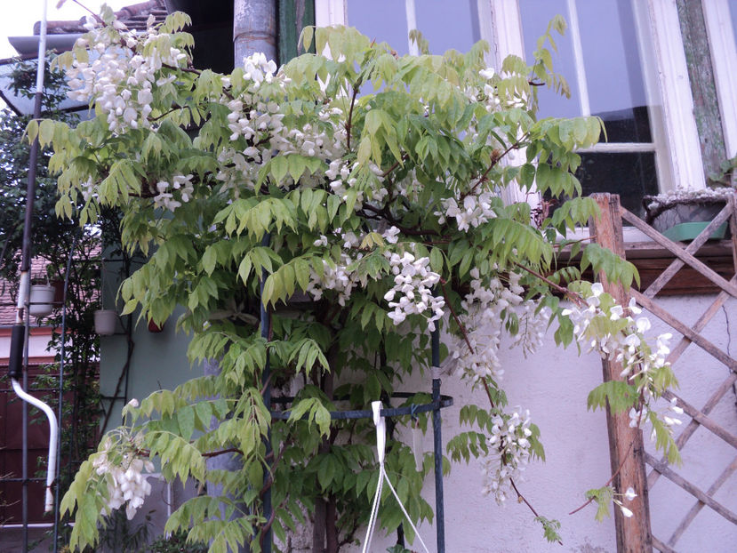 mai 2020 - CATARATOARE