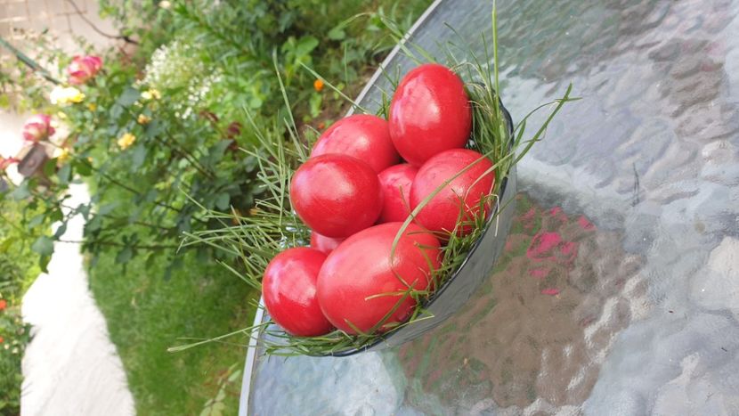 De Inalțare 28.05.2020 - Aperitive