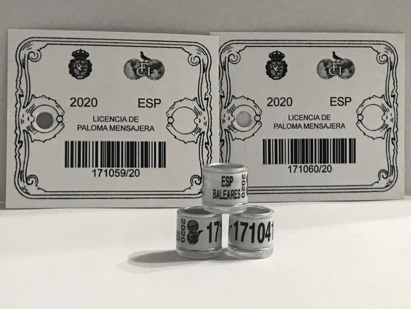 3D1420E2-A807-4781-8A11-56A2CBBEBEE1 - Inele FCI SPANIA Olanda Belgia Germania 2020 cu talon