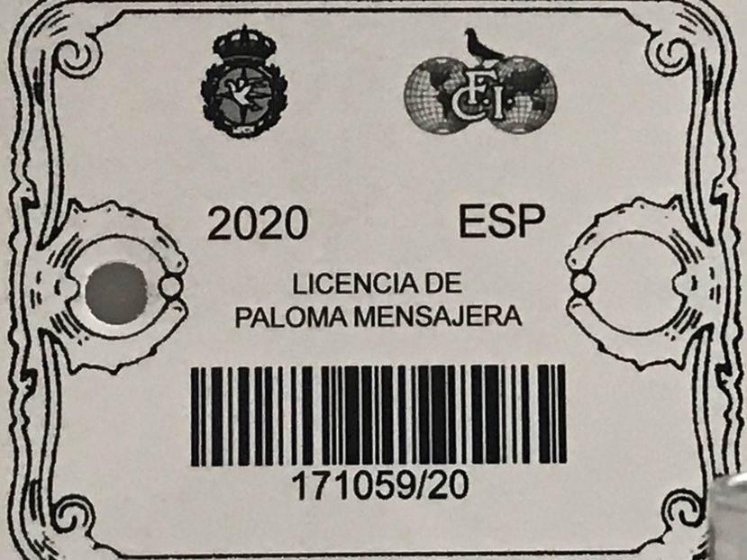 80044F32-290A-4DF1-9595-683FE0180545 - Inele FCI SPANIA Olanda Belgia Germania 2020 cu talon