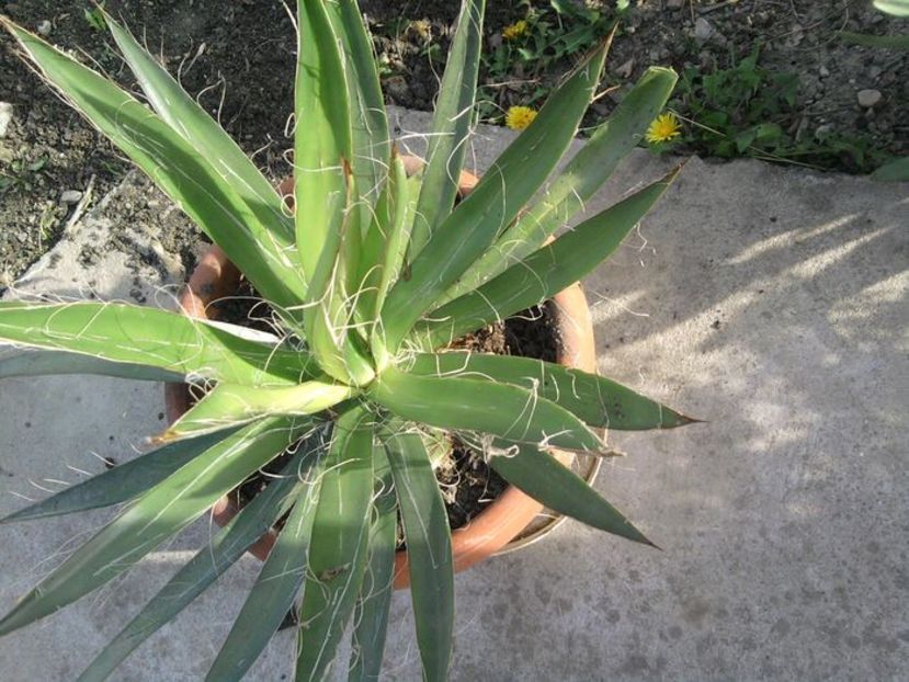 103314476 (1) - Mai 2020