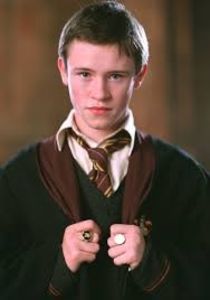 Seamus Finnigan - Harry Potter