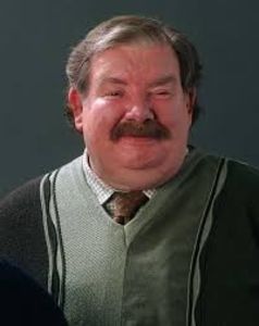 Vernon Dursley - Harry Potter