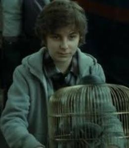 James Sirius Potter - Harry Potter