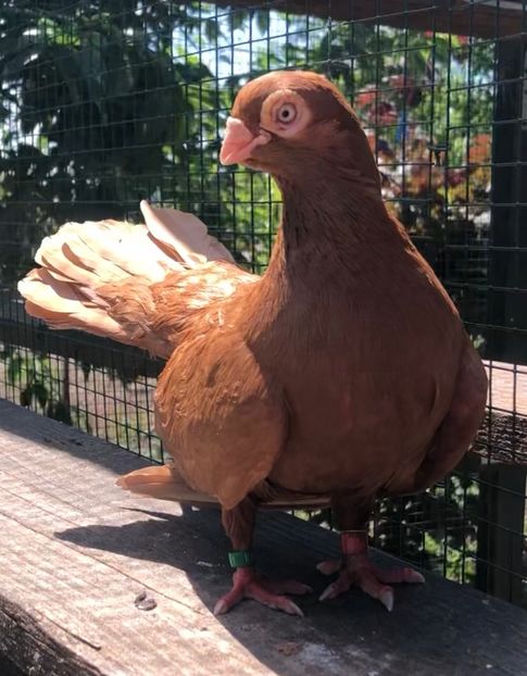 C6F6CF97-D974-4829-BB65-A5367333A0F0 - Poze noi