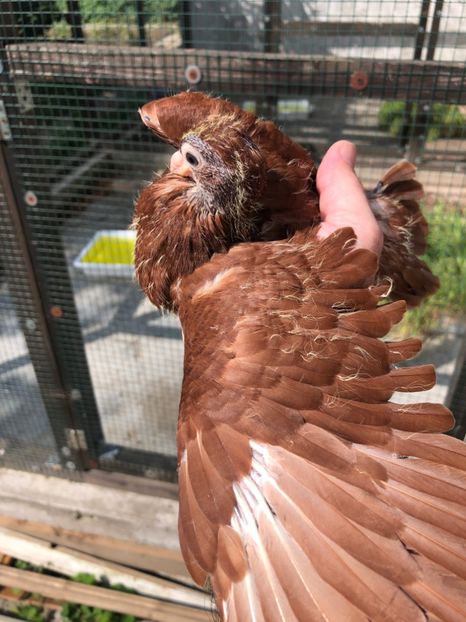 E74445DE-7314-4A03-96D1-33B52BC10EDA - Poze noi