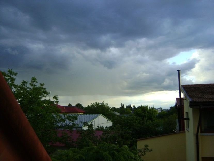 Cerul de dupa furtuna - Primavara 2020