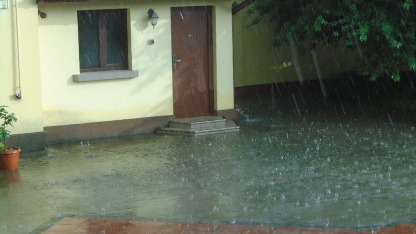 Dupa seceta... potop - Primavara 2020