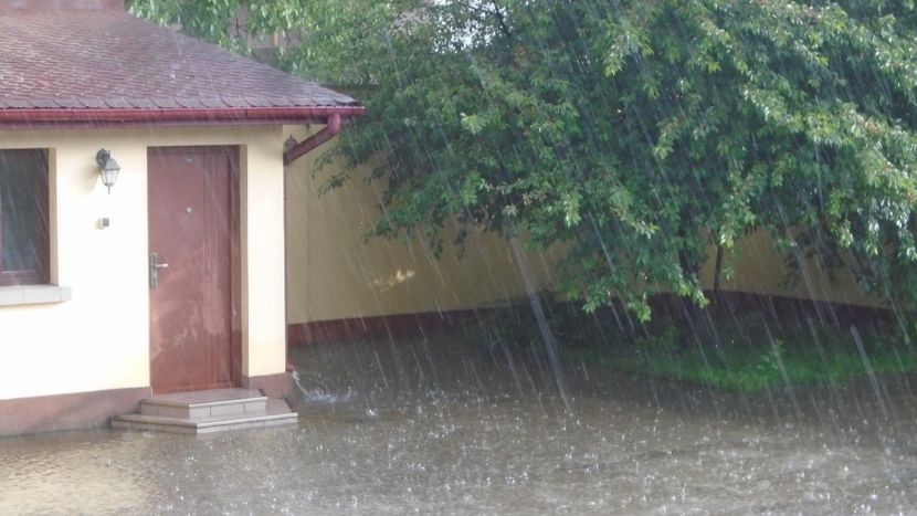 Dupa seceta... potop - Primavara 2020