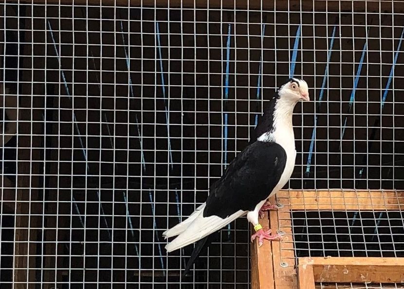  - 00000001 pe afară