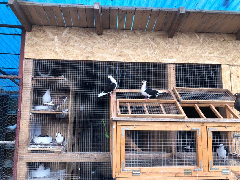  - 00000001 pe afară