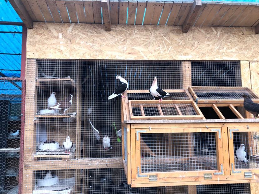  - 00000001 pe afară