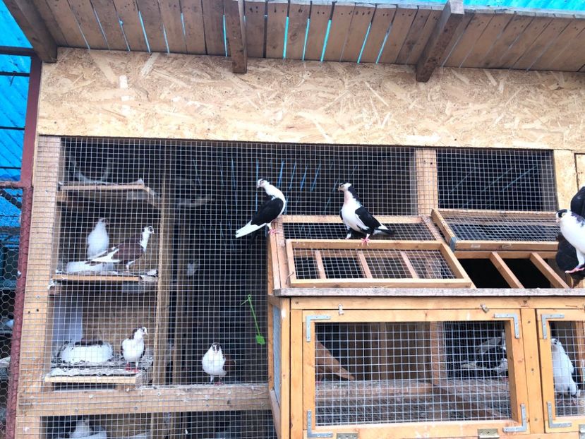  - 00000001 pe afară