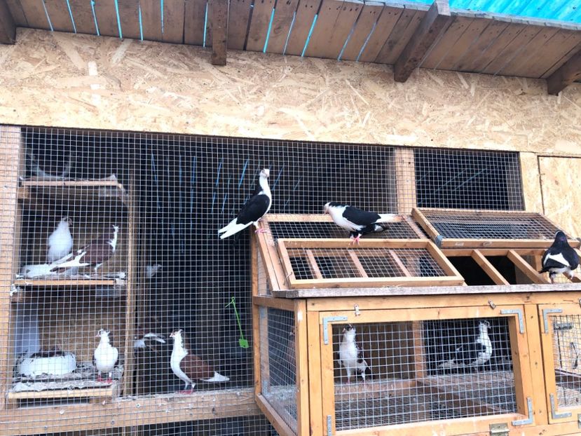  - 00000001 pe afară