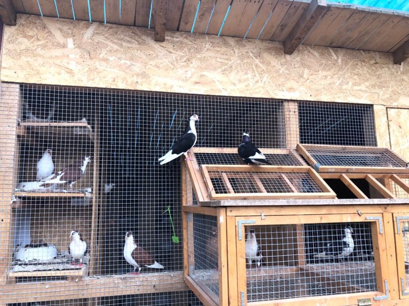  - 00000001 pe afară