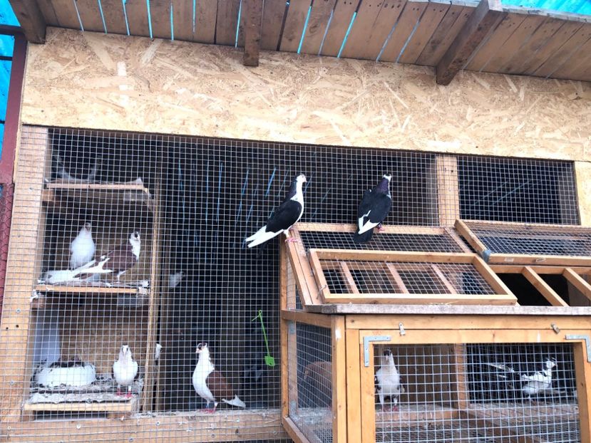  - 00000001 pe afară