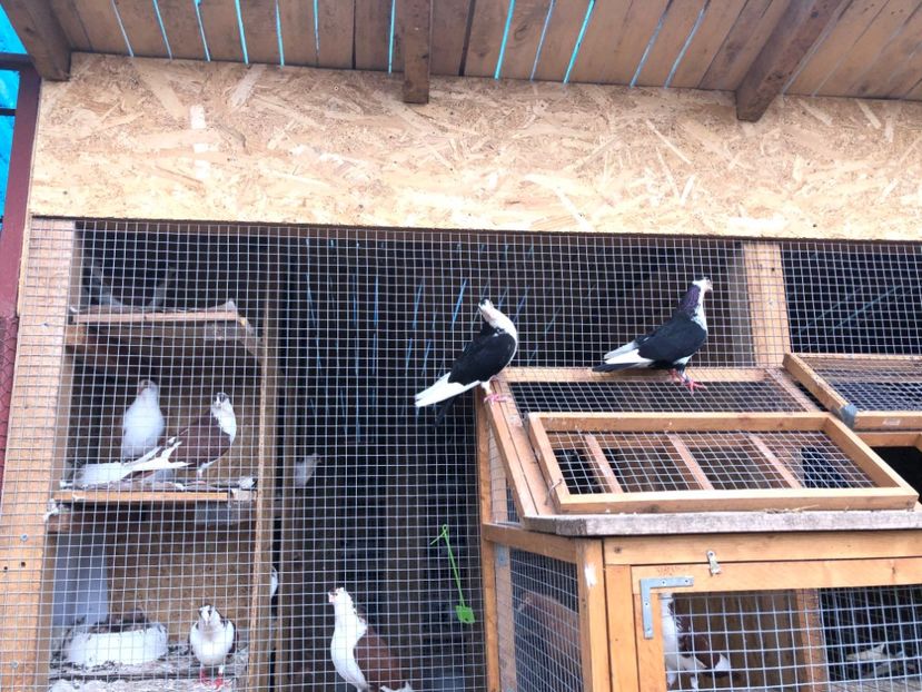  - 00000001 pe afară