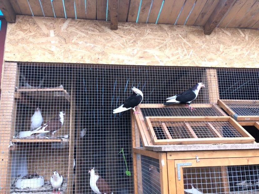  - 00000001 pe afară